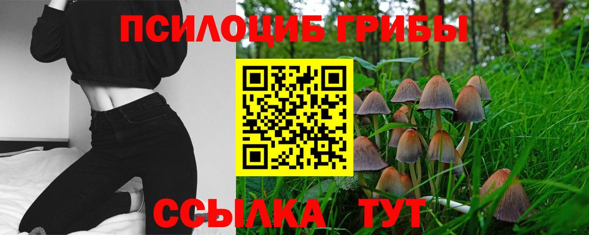 Галлюциногенные грибы Magic Shrooms Алушта
